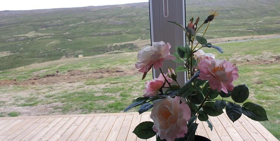 Studlagil Canyon Country Home Grund Bagian luar foto